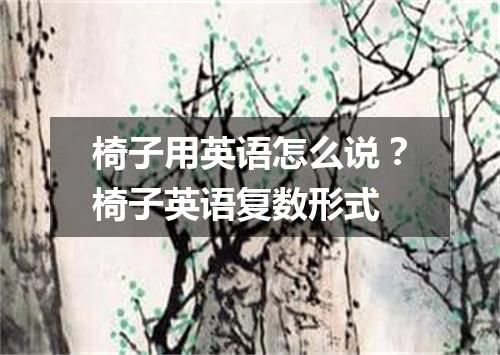 椅子用英语怎么说?椅子英语复数形式