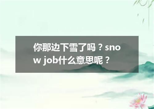 你那边下雪了吗?snow job什么意思呢?