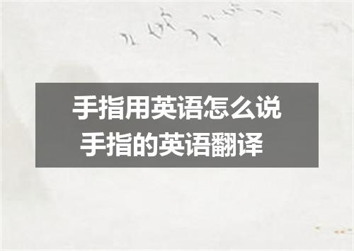 手指用英语怎么说 手指的英语翻译