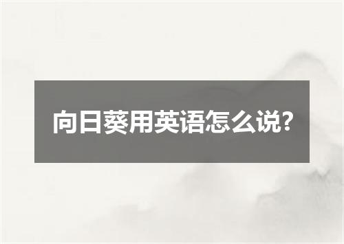 向日葵用英语怎么说?