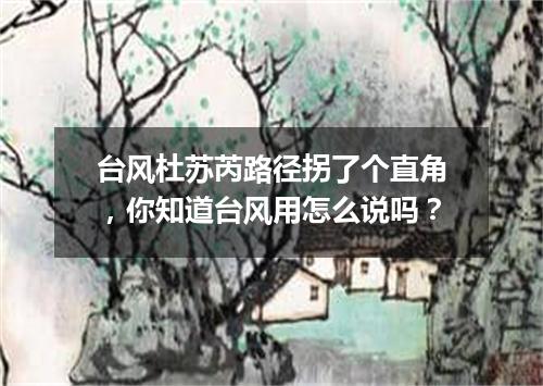台风杜苏芮路径拐了个直角,你知道台风用怎么说吗?