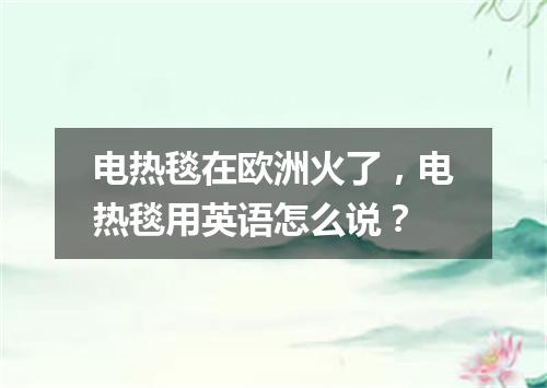 电热毯在欧洲火了,电热毯用英语怎么说?