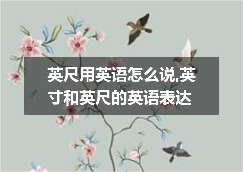 英尺用英语怎么说,英寸和英尺的英语表达