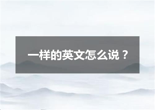 一样的英文怎么说？