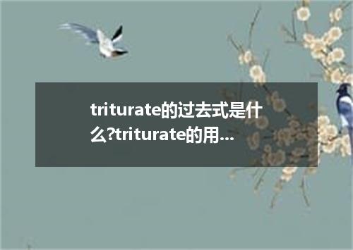 triturate的过去式是什么?triturate的用法和例句