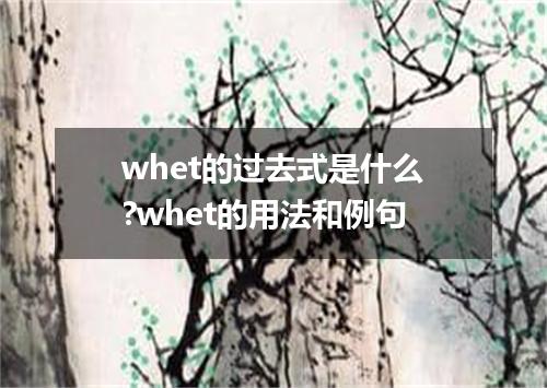 whet的过去式是什么?whet的用法和例句