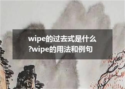 wipe的过去式是什么?wipe的用法和例句