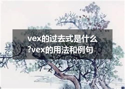 vex的过去式是什么?vex的用法和例句
