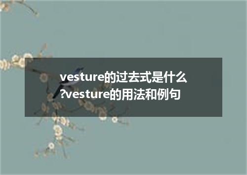 vesture的过去式是什么?vesture的用法和例句