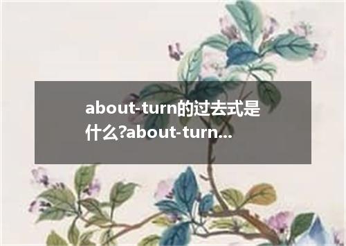 about-turn的过去式是什么?about-turn的用法和例句