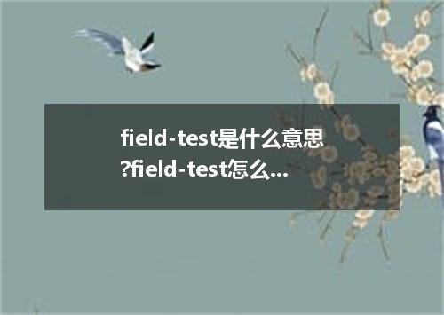 field-test是什么意思?field-test怎么发音?field-test的解释和用法