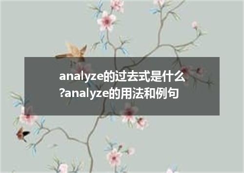 analyze的过去式是什么?analyze的用法和例句