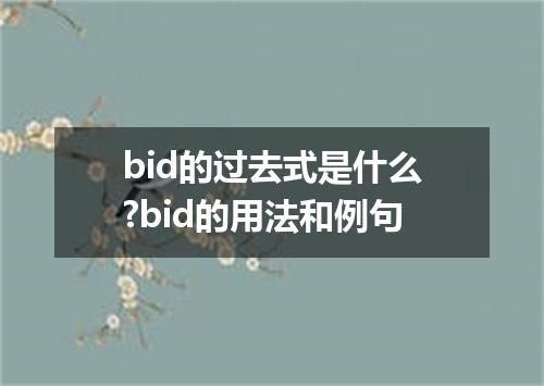 bid的过去式是什么?bid的用法和例句
