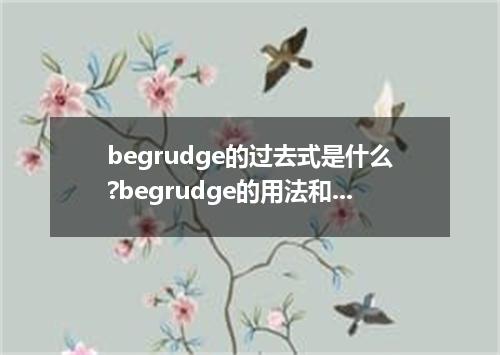 begrudge的过去式是什么?begrudge的用法和例句
