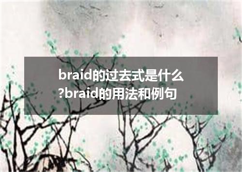 braid的过去式是什么?braid的用法和例句