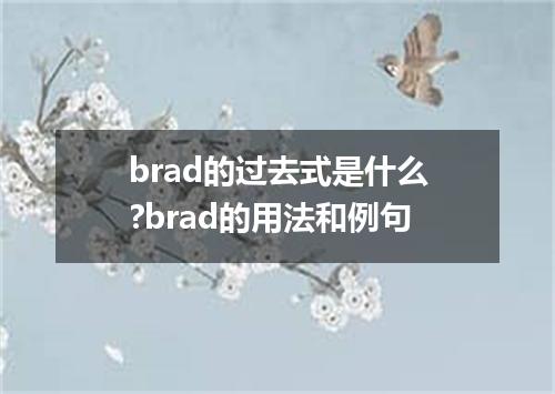 brad的过去式是什么?brad的用法和例句