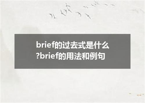 brief的过去式是什么?brief的用法和例句
