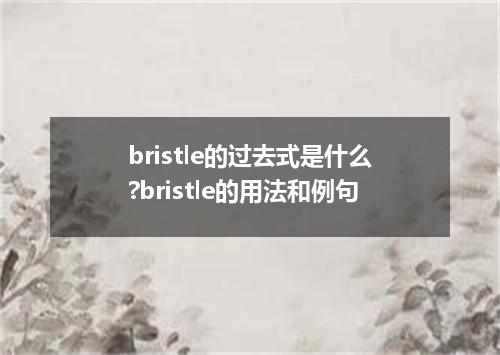 bristle的过去式是什么?bristle的用法和例句