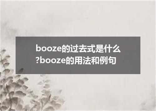 booze的过去式是什么?booze的用法和例句