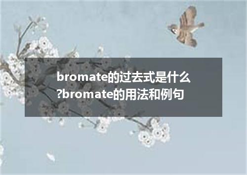 bromate的过去式是什么?bromate的用法和例句