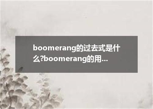 boomerang的过去式是什么?boomerang的用法和例句