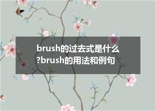 brush的过去式是什么?brush的用法和例句