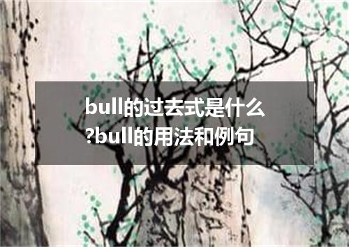 bull的过去式是什么?bull的用法和例句
