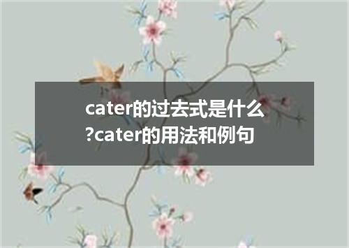 cater的过去式是什么?cater的用法和例句