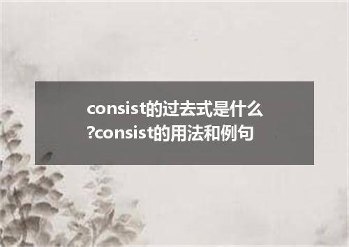 consist的过去式是什么?consist的用法和例句