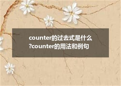 counter的过去式是什么?counter的用法和例句