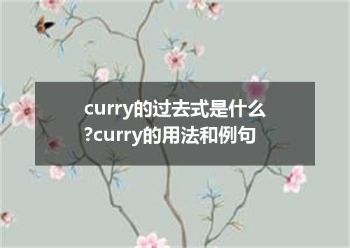 curry的过去式是什么?curry的用法和例句