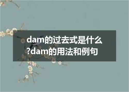 dam的过去式是什么?dam的用法和例句