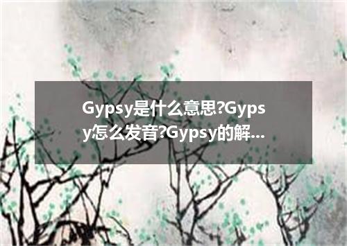 Gypsy是什么意思?Gypsy怎么发音?Gypsy的解释和用法