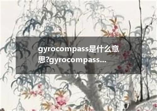 gyrocompass是什么意思?gyrocompass怎么发音?gyrocompass的解释和用法