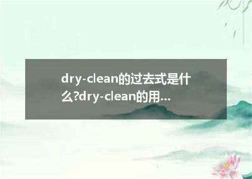 dry-clean的过去式是什么?dry-clean的用法和例句