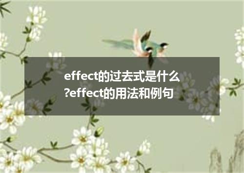 effect的过去式是什么?effect的用法和例句