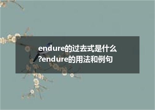 endure的过去式是什么?endure的用法和例句