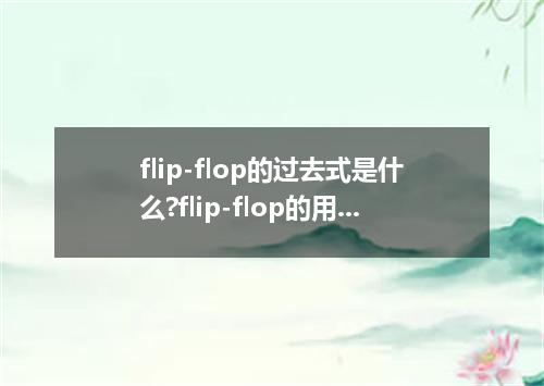 flip-flop的过去式是什么?flip-flop的用法和例句