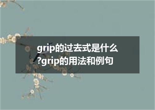 grip的过去式是什么?grip的用法和例句