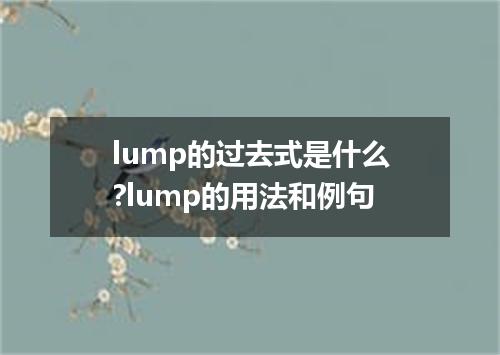 lump的过去式是什么?lump的用法和例句