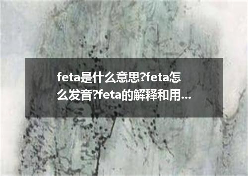 feta是什么意思?feta怎么发音?feta的解释和用法