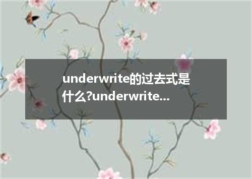 underwrite的过去式是什么?underwrite的用法和例句