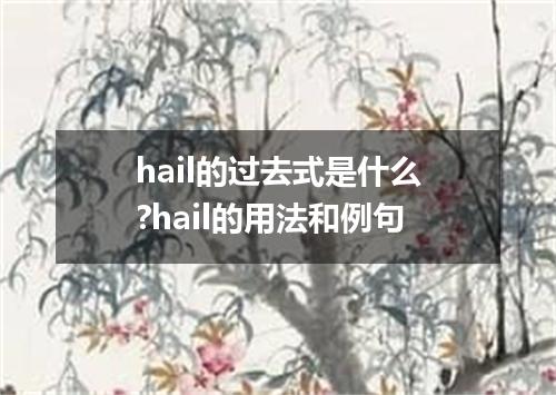 hail的过去式是什么?hail的用法和例句