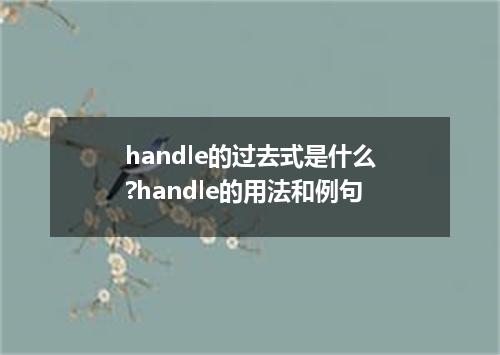 handle的过去式是什么?handle的用法和例句