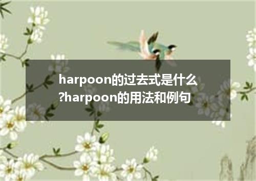 harpoon的过去式是什么?harpoon的用法和例句