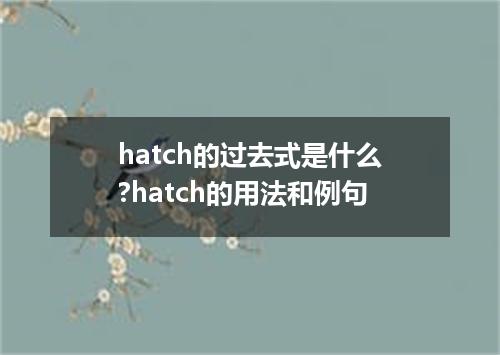 hatch的过去式是什么?hatch的用法和例句