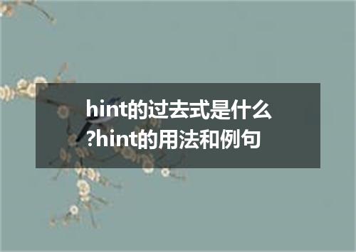 hint的过去式是什么?hint的用法和例句
