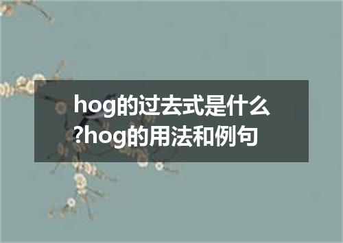 hog的过去式是什么?hog的用法和例句