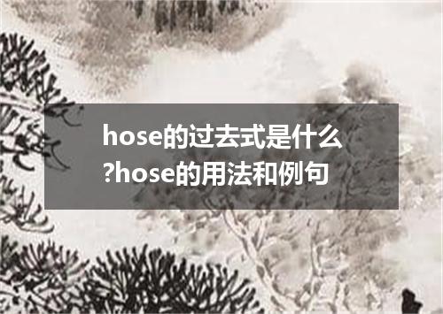 hose的过去式是什么?hose的用法和例句