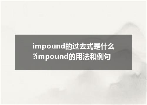 impound的过去式是什么?impound的用法和例句